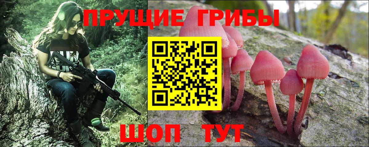 Псилоцибиновые грибы Psilocybe  Вход с VPN  Коломна  что такое   Псилоцибиновые грибы мухоморы 